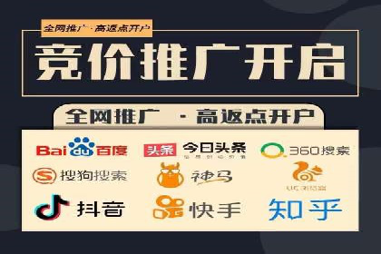 某企业SEM广告投放的ROI提升策略及效果展示